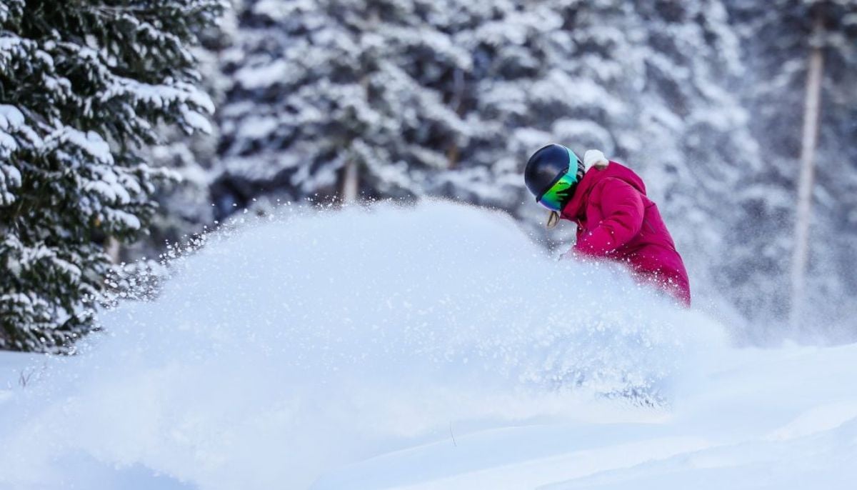 Body of missing 28-year-old teacher found in woods after snowstorm disappearance