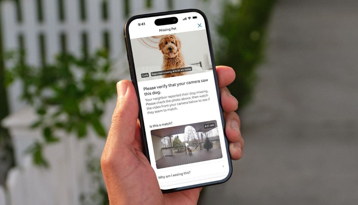 Ring’s 'Search Party' ad sparks backlash over mass surveillance fears