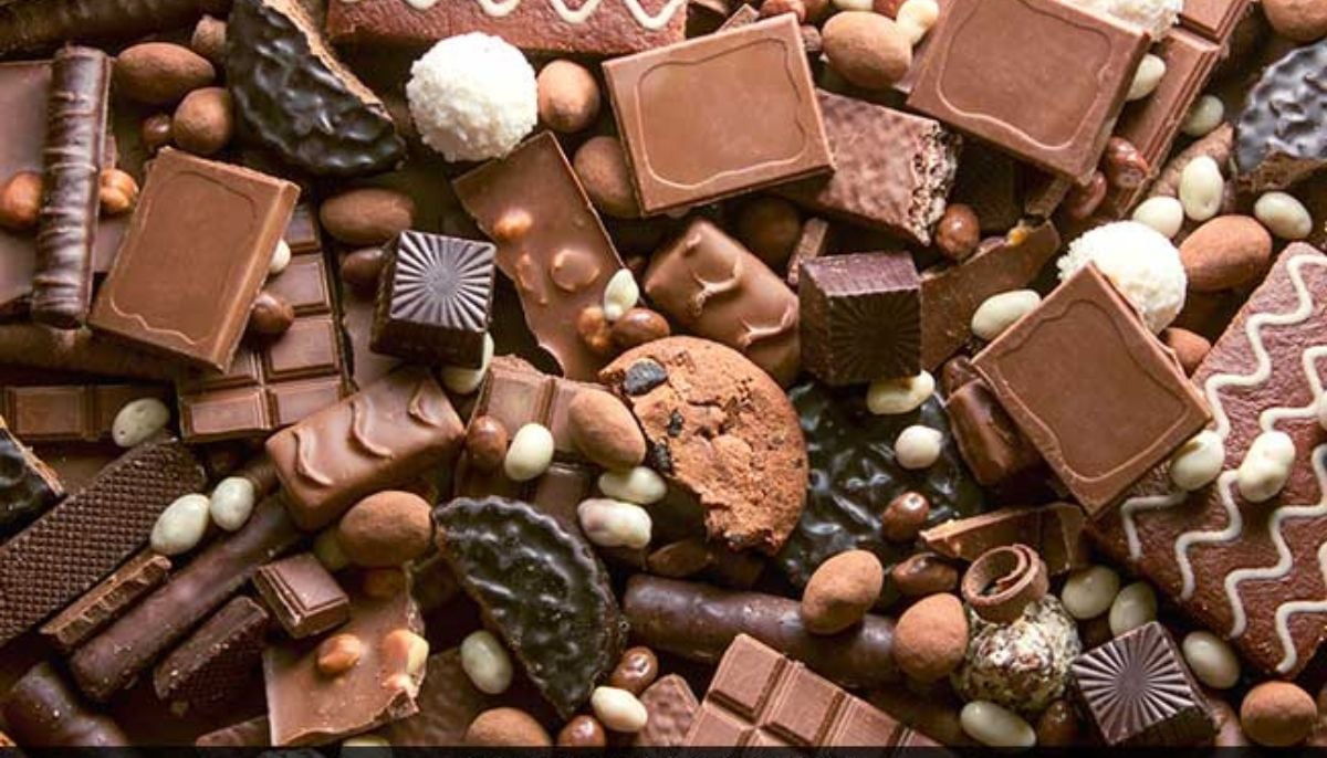 Is chocolate actually healthy? Harvard-trained doctor shares his 0 to 10 scale