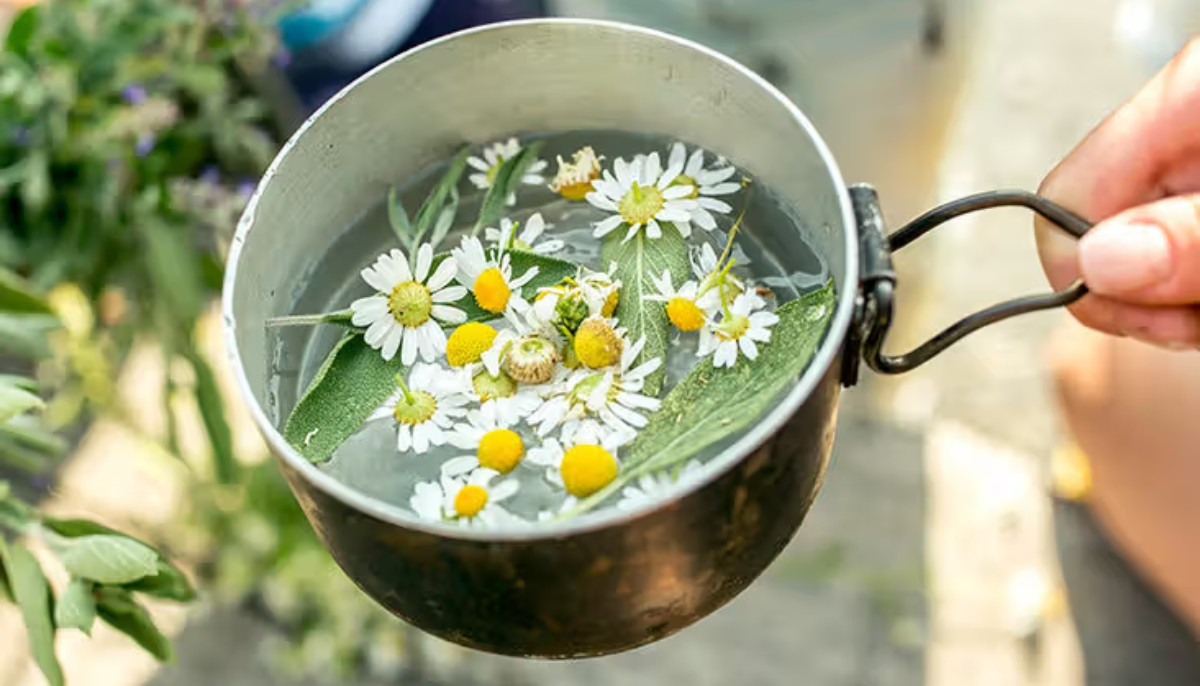 Drink passionflower tea before bed to boost sleep and ease anxiety