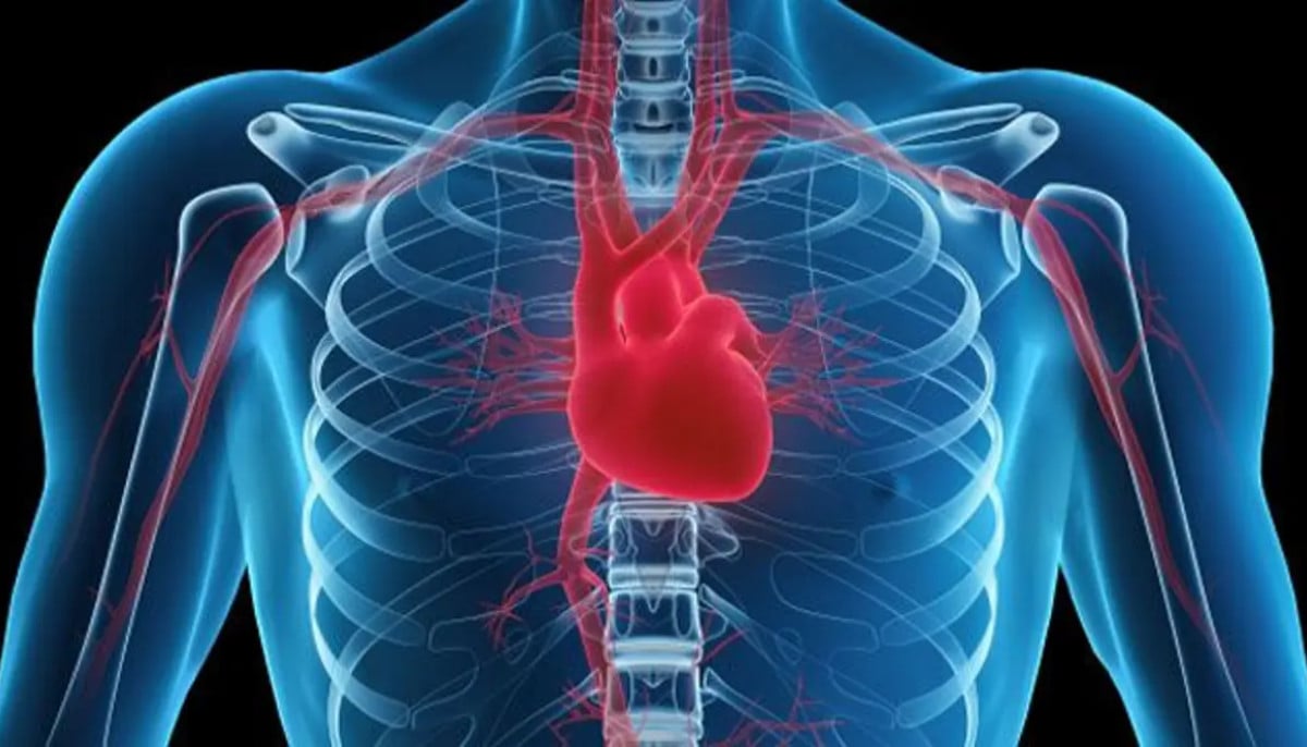 Cardiologist reveals heart attack myth you’ve been believing