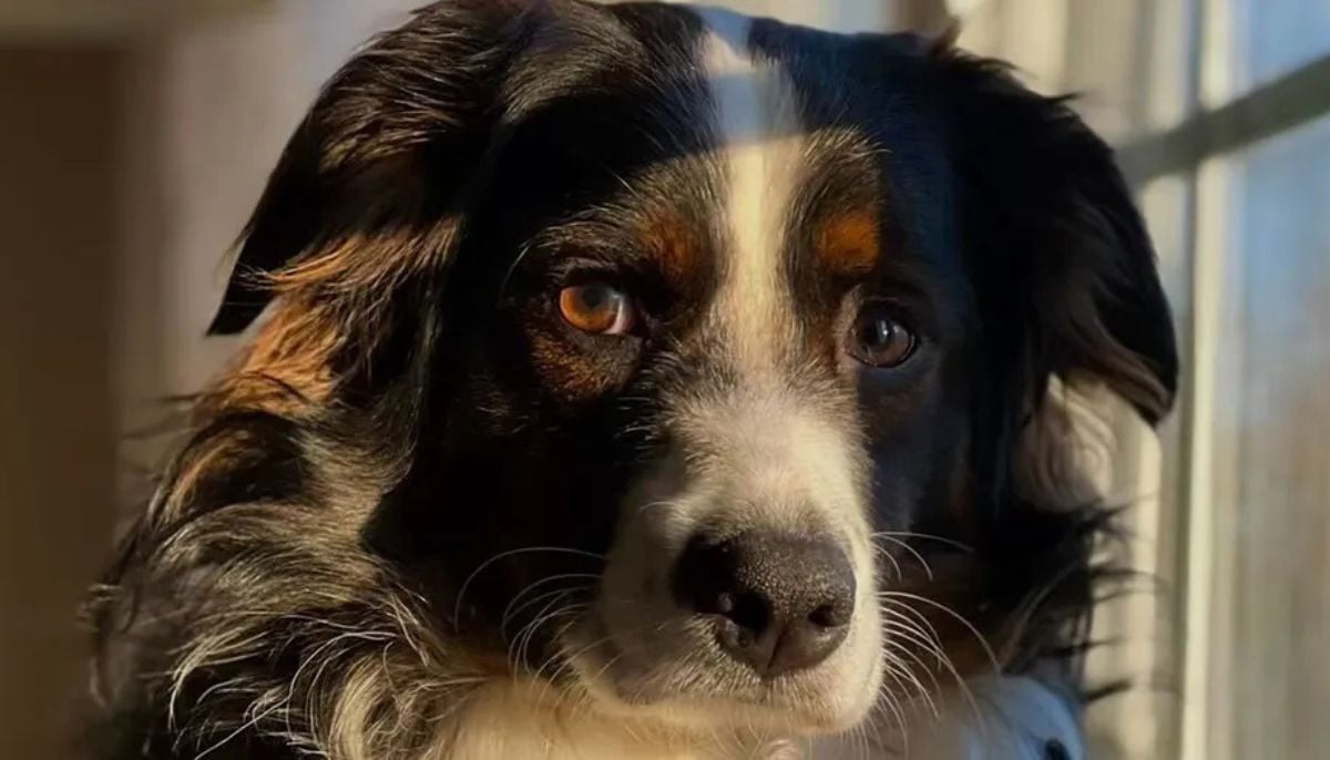 Husband charged with murder after wife found with 17 stab wounds