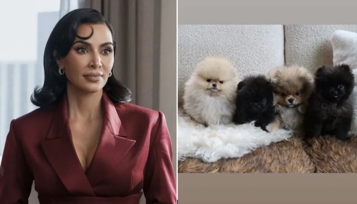 Kim Kardashian reveals four christmas gift puppies for kids after PETA criticism