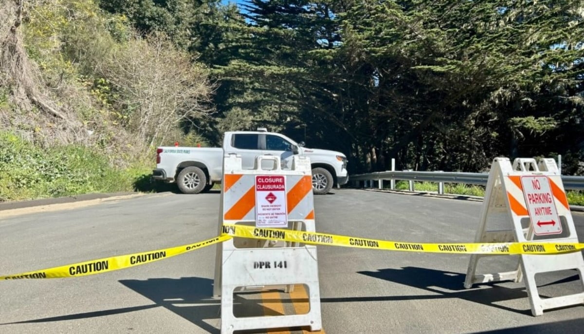 Shark attack at Big River Beach leaves surfer with severe leg injuries