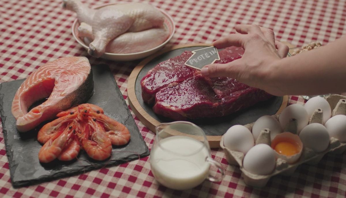 Stop acting like a 'ravenous, confused Labrador' with your protein sources