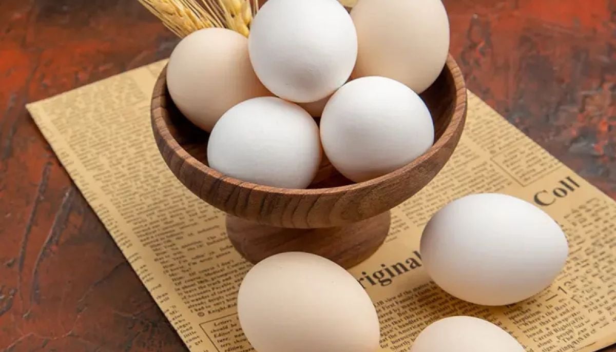 Expert reveals how eating eggs daily for 14 days transforms brain health