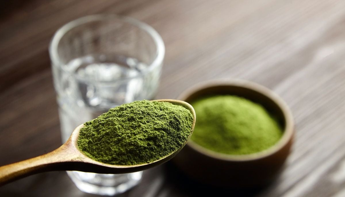 How to include Moringa powder in daily diet