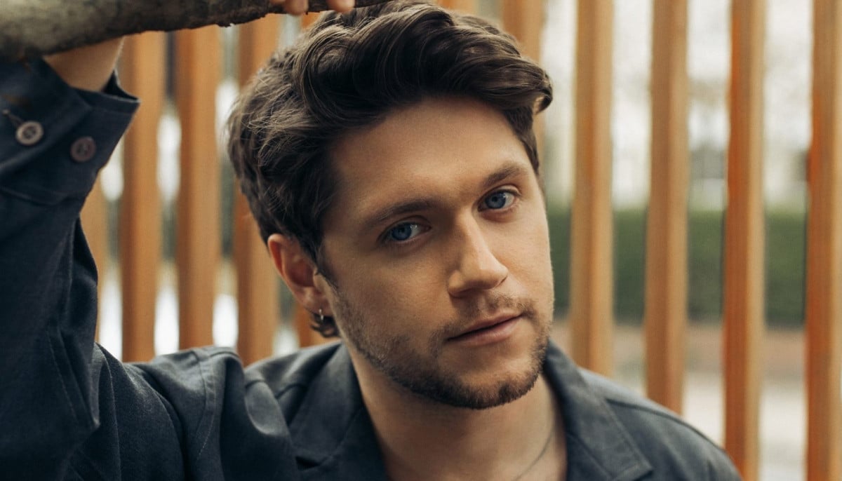 Niall Horan reveals ‘underrated’ One Direction song fans missed