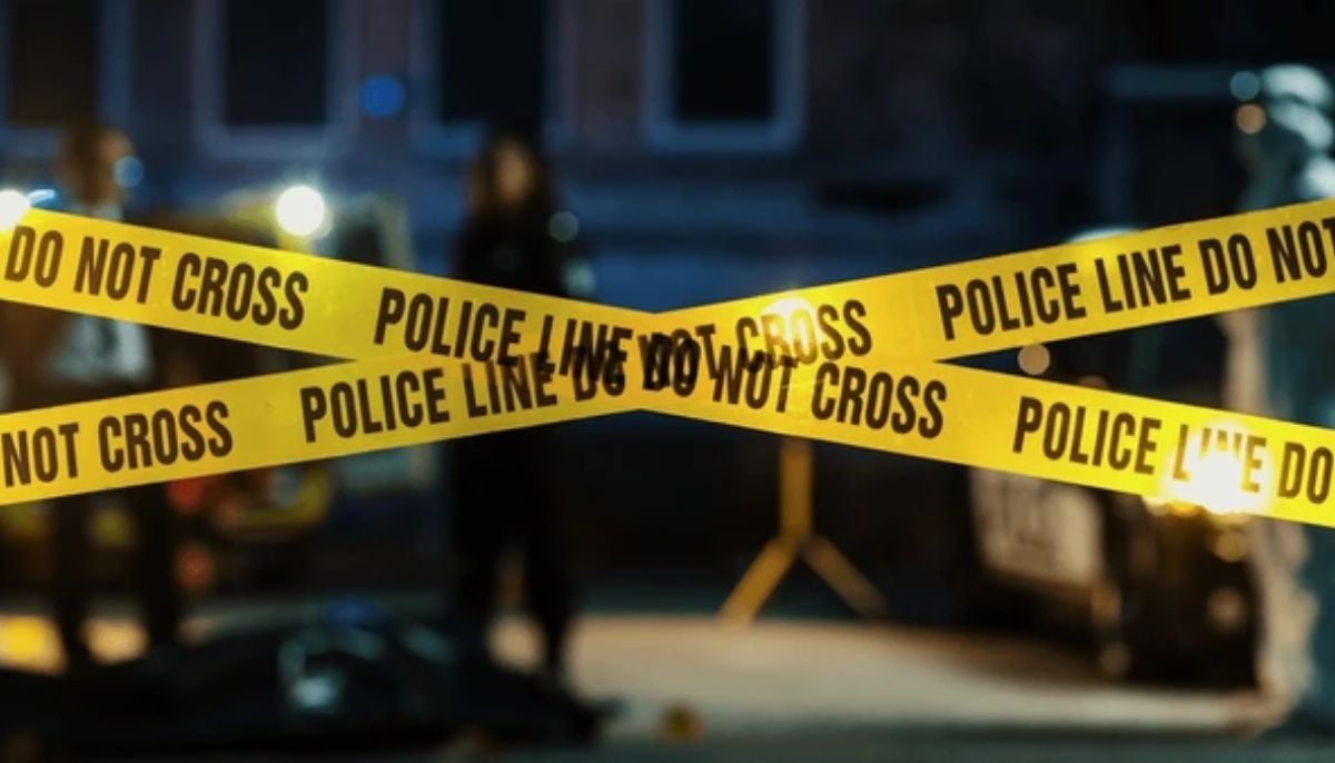 Man stabs scientist wife in alleged mercy act while mother pleads with him to stop