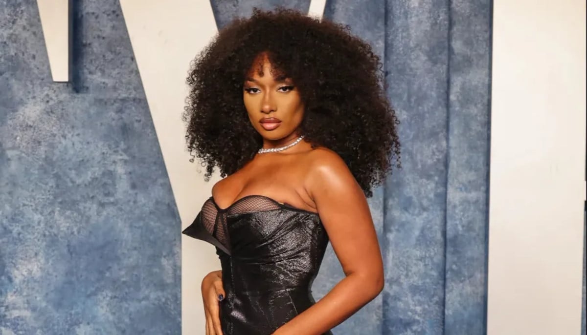 Megan Thee Stallion makes swift return to stage after sudden illness during show