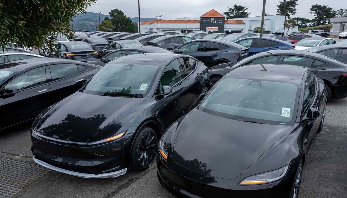 Georgia mother sues Tesla after son and father die in fiery crash