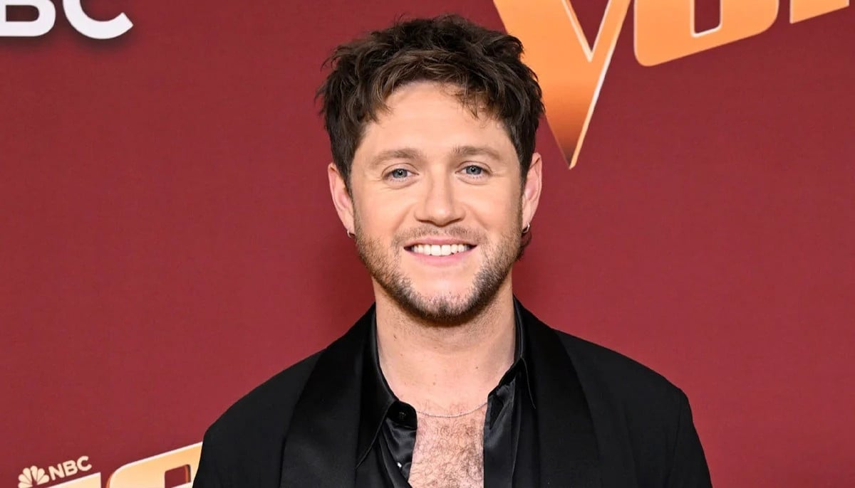 Niall Horan wonders about helping Liam Payne before his death