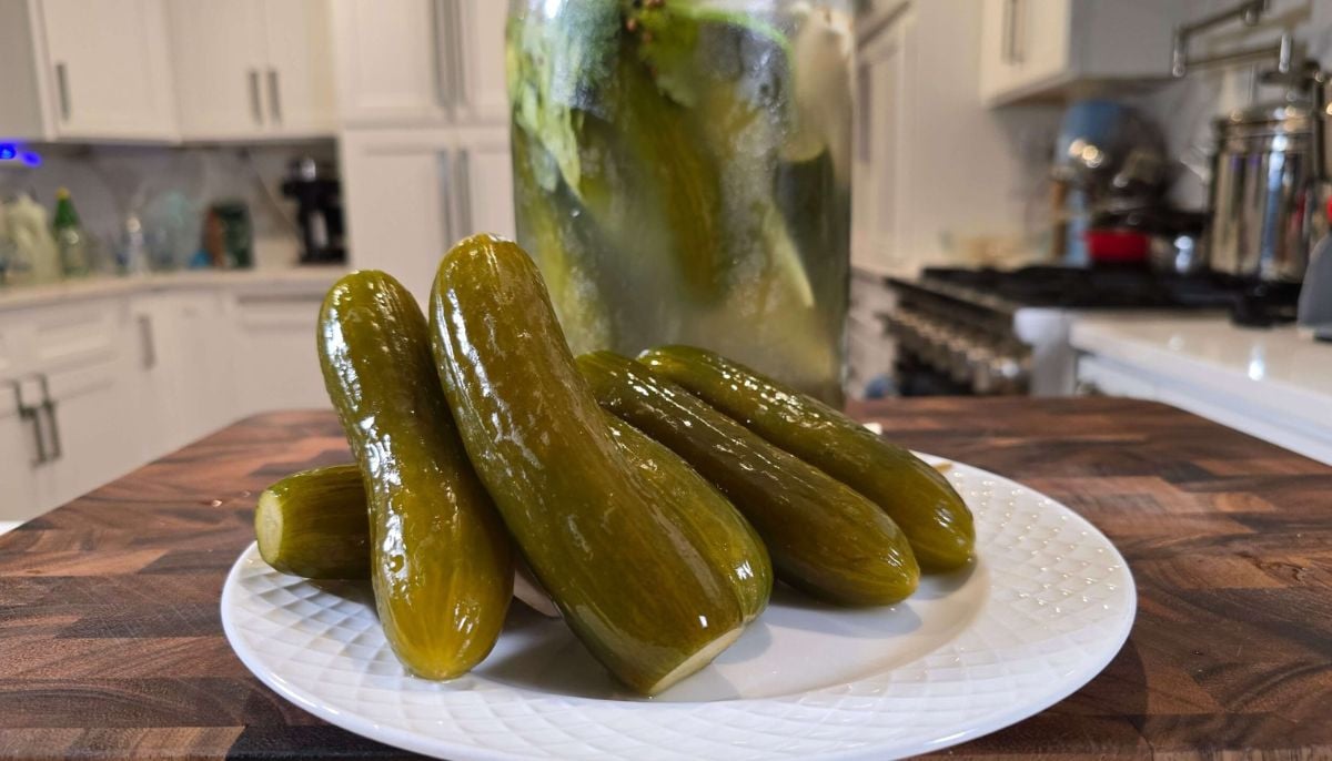 How to make naturally probiotic pickles at home for gut health