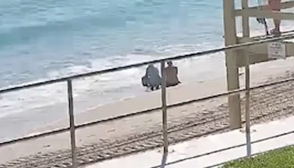 Heroic beach rescue leads to shocking discovery about double murder suspect