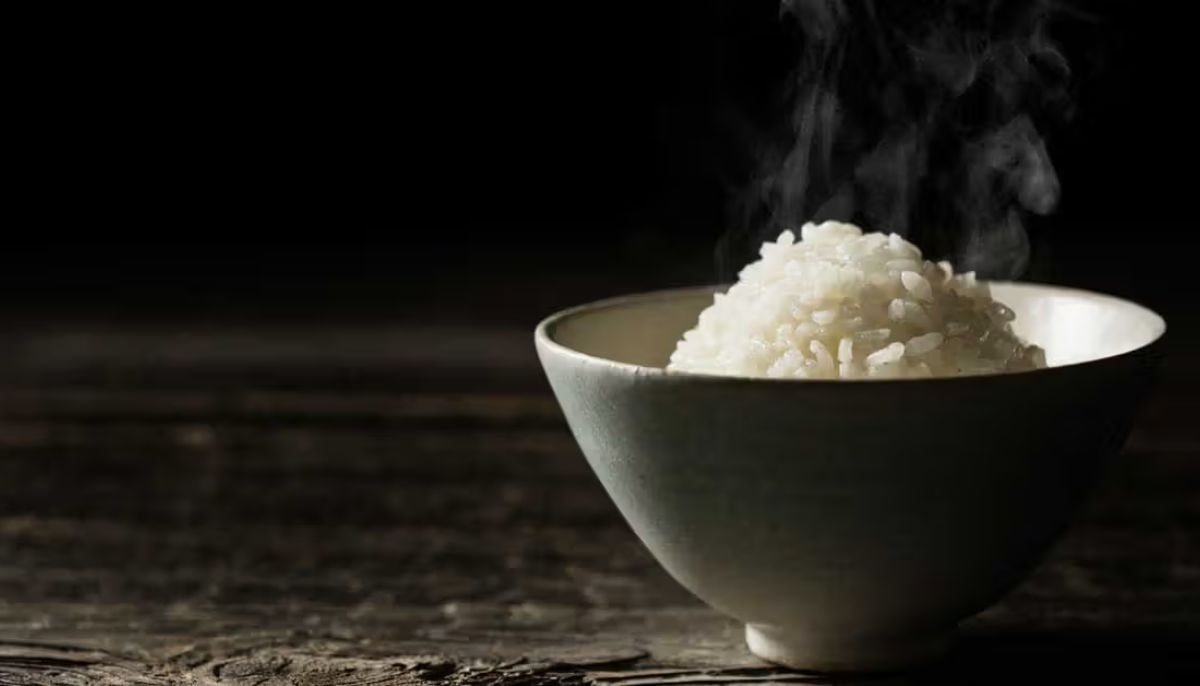 Expert explains hidden arsenic risks found in brown rice outer layers