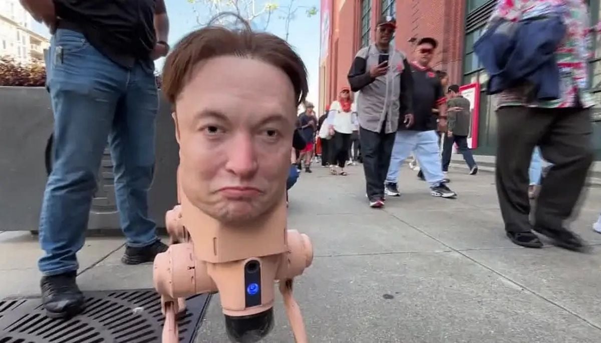 ‘Elon Musk’ robot dog roams San Francisco in viral art stunt