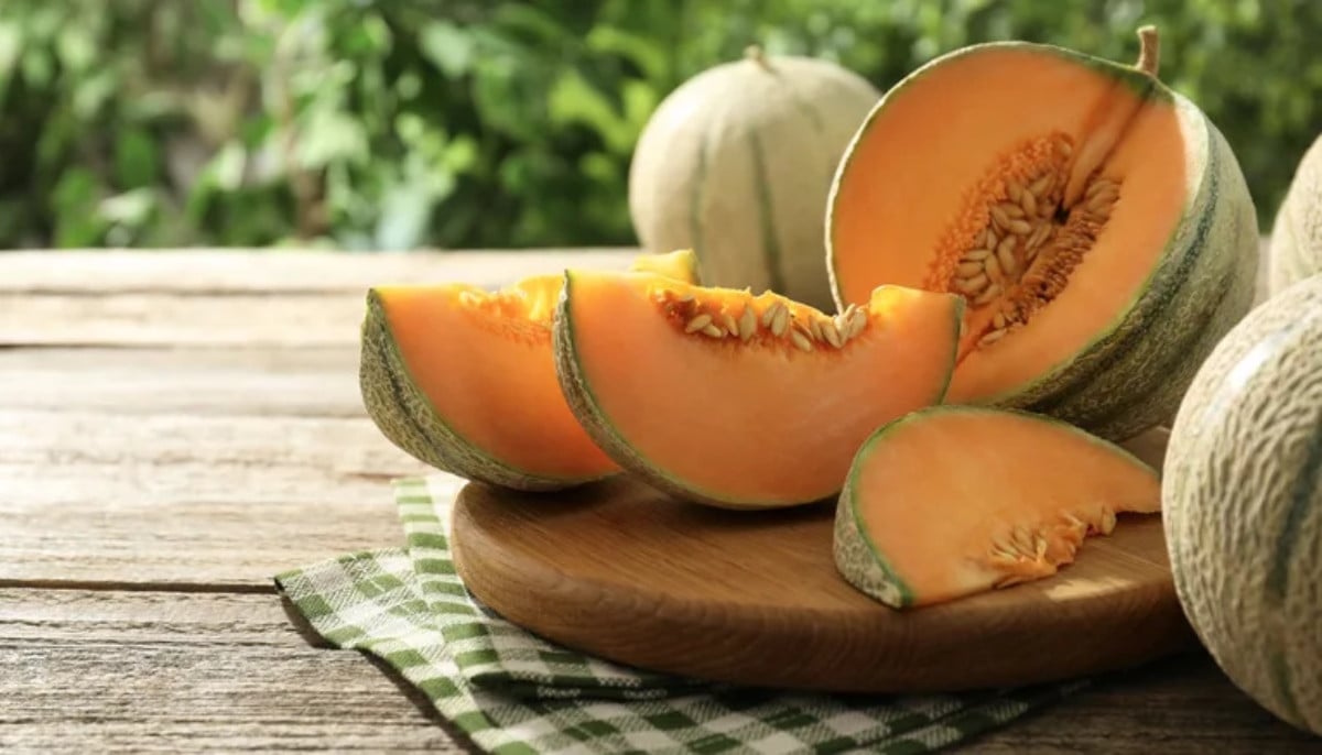 Salmonella concerns trigger urgent recall of cantaloupes sold in four US states