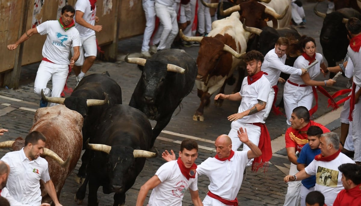 Tragedy at Spanish festival as bull attack claims life of local breeder