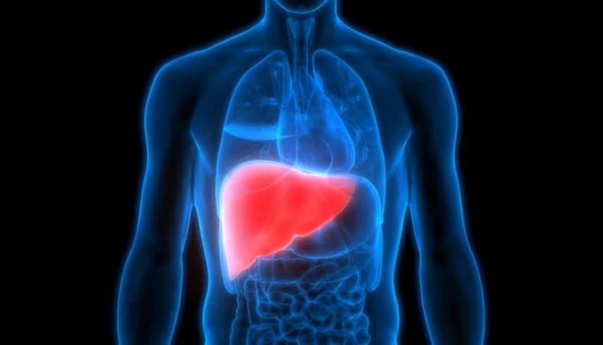 Expert advice on identifying everyday habits that quietly damage liver function