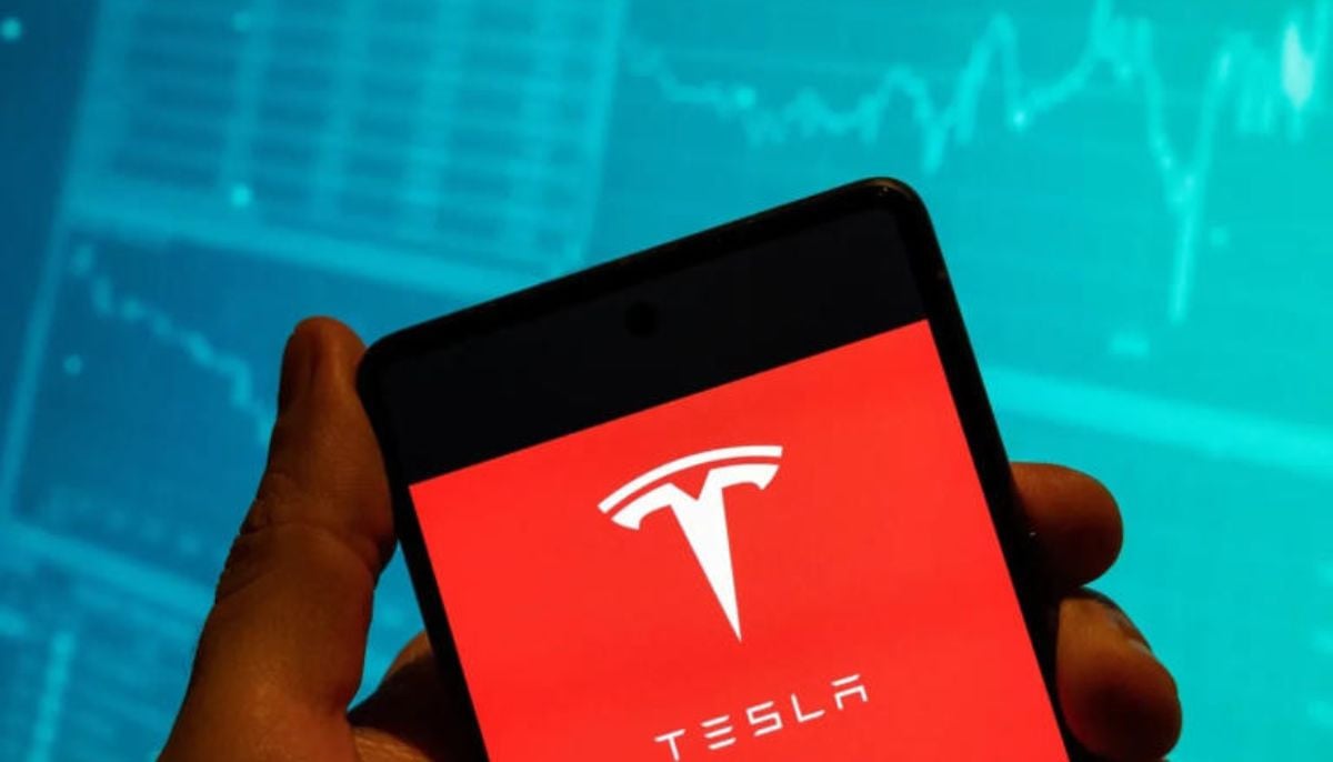 Tesla earned $500m last year selling to xAI and SpaceX