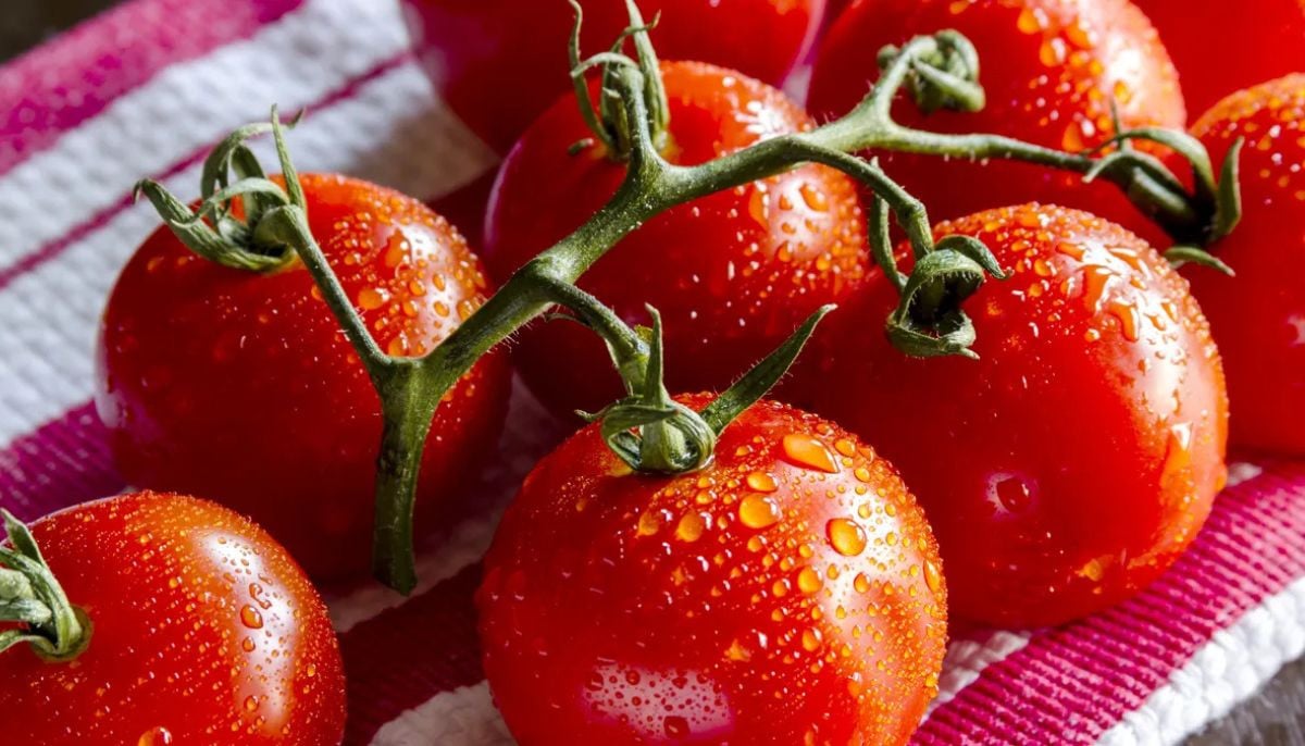 Did you know? Tomatoes can increase your internal skin protection levels