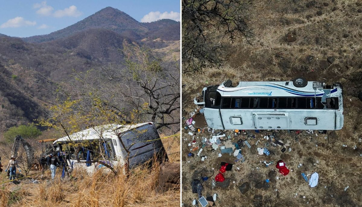 Tourist bus crash kills 11, leaves 30+ injured after swerving off highway