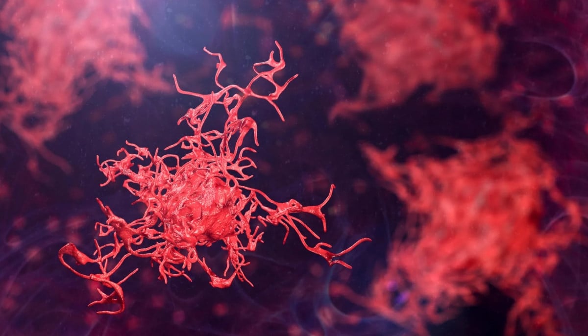 Scientists warn of rising threat from deadly amoebae amid global warming