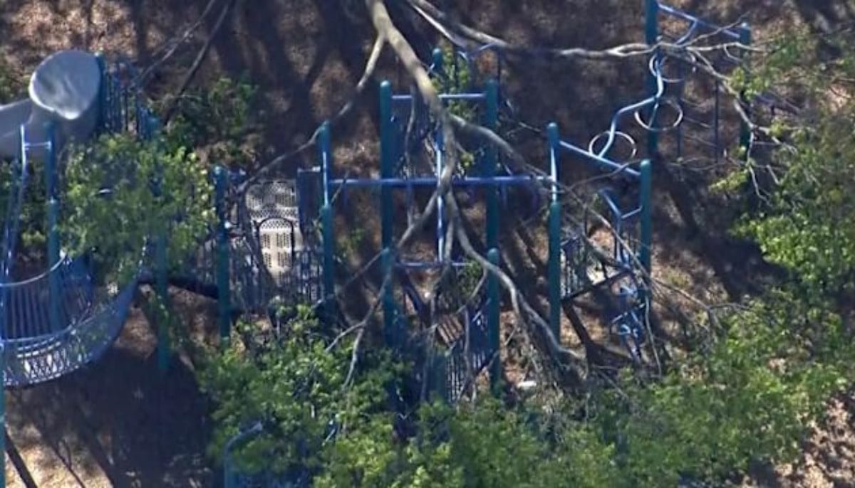 Child dies after falling tree strikes elementary school playground in Massachusetts