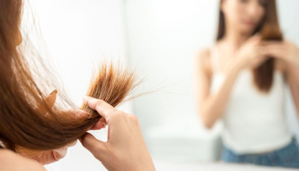 How to protect hair from rising summer heat