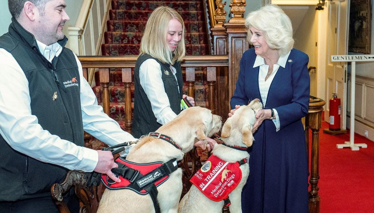 Queen Camilla hosts medical dogs trained to detect serious diseases