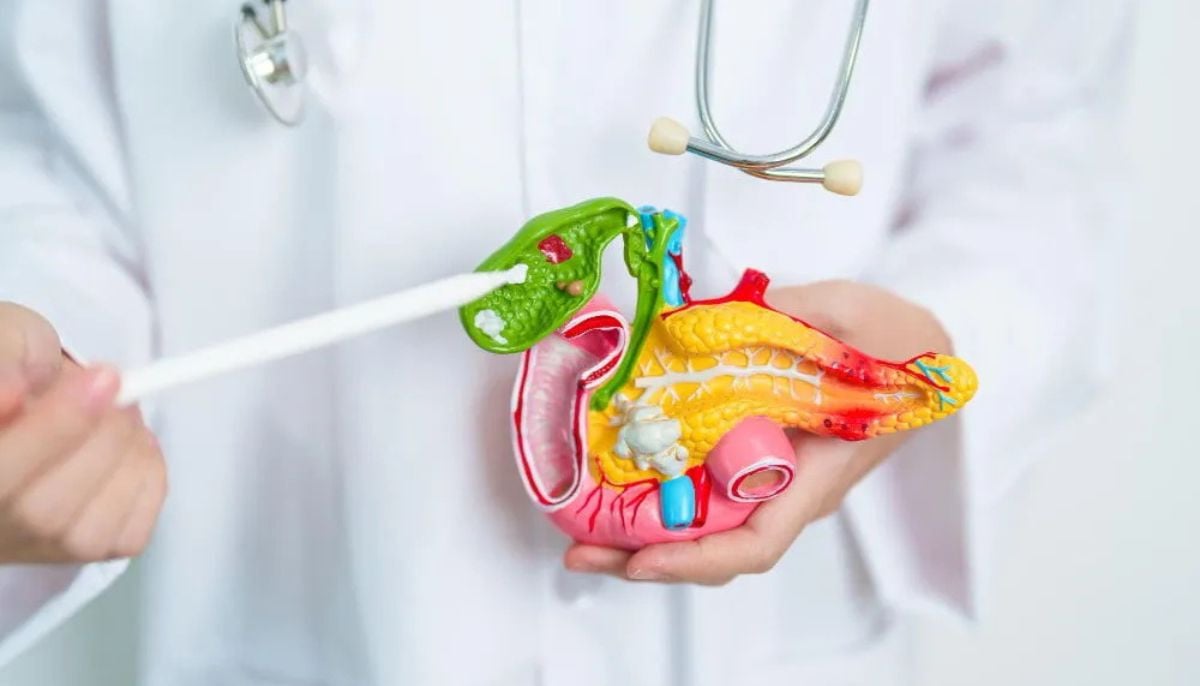 Pancreatic Cancer: Hidden warning signs most overlook, according to a Gastroenterologist
