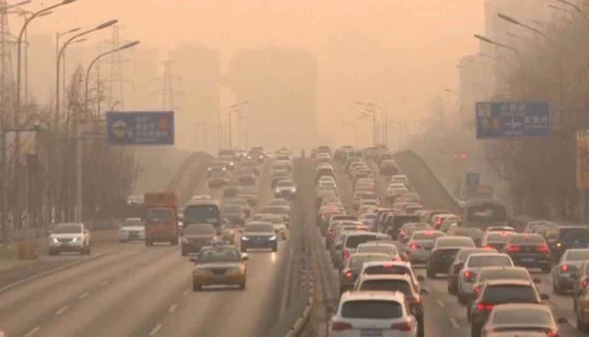 Air pollution raises risk of deadly kidney disease, major new Brazilian research has revealed