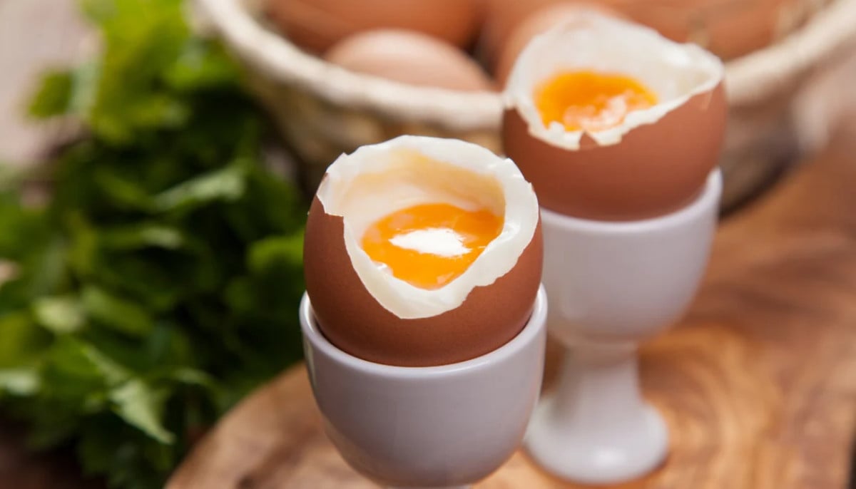 Regular egg consumption tied to 27% lower risk of Alzheimer’s
