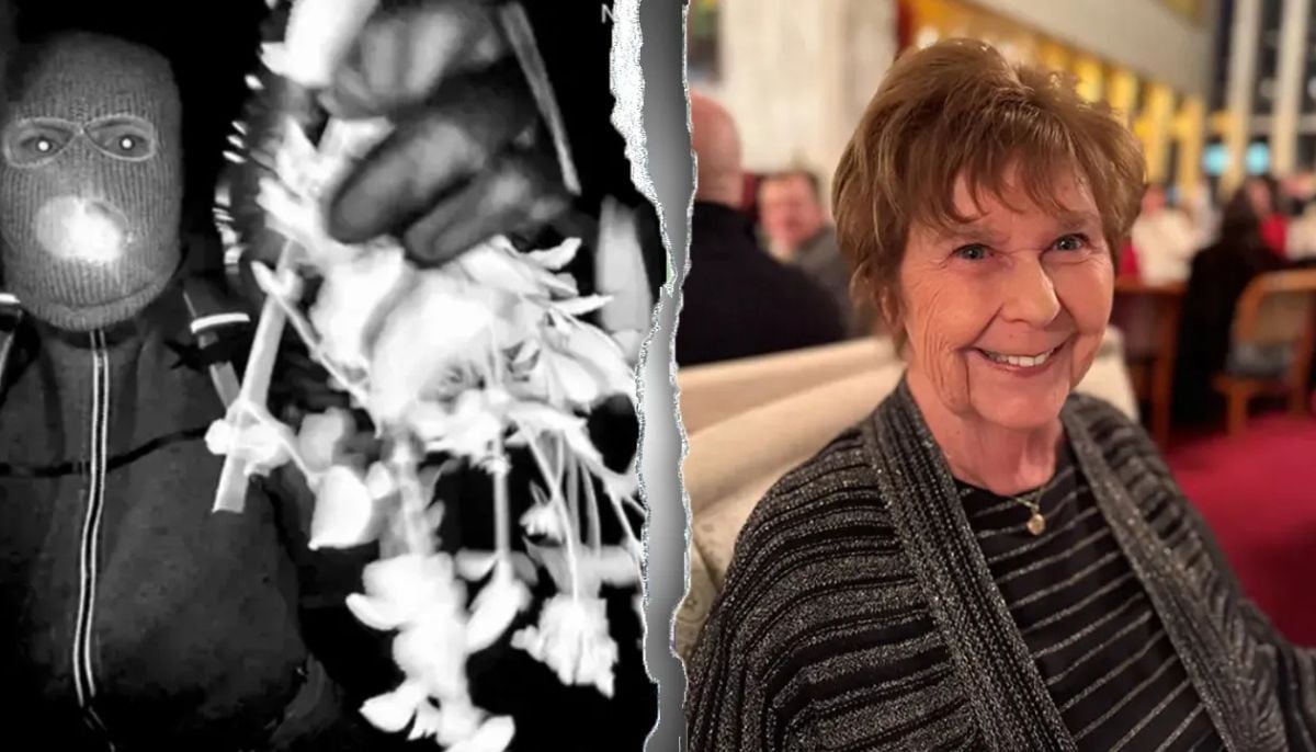 DNA evidence at the centre of the search for Savannah Guthrie&amp;apos;s mother Nancy after 100 days