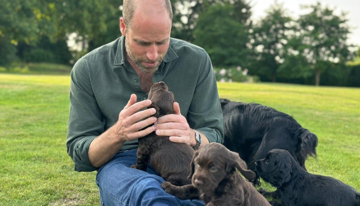Prince William jokes about the ‘chaos’ caused by family dogs at Kensington home
