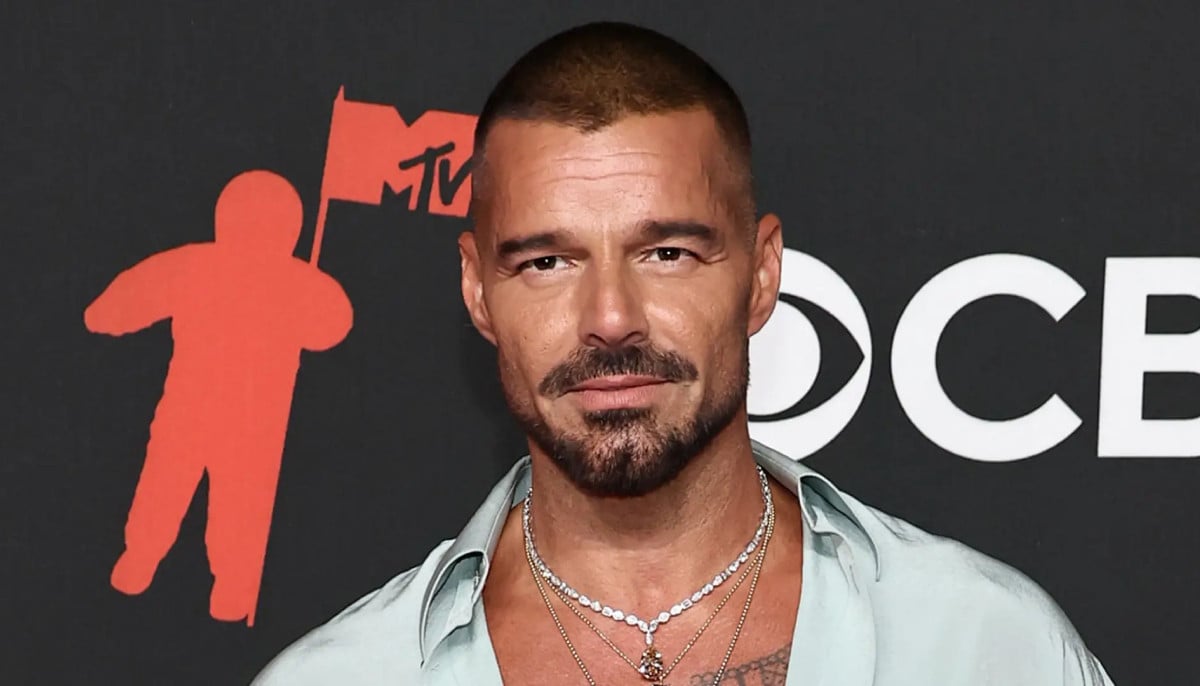 Ricky Martin resumes Montenegro concert after tear gas scare halts show