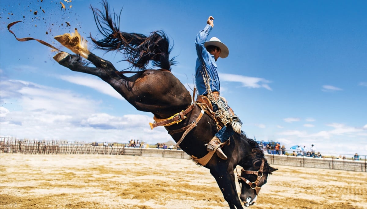 Las Vegas horse stabbing incident prompts arrest of teenage girl during major rodeo event