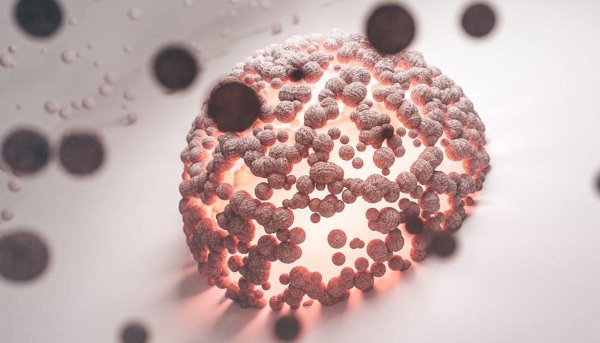 Cancer research gap exposed as study reveals melanoma&amp;apos;s unexpected relationship with ageing
