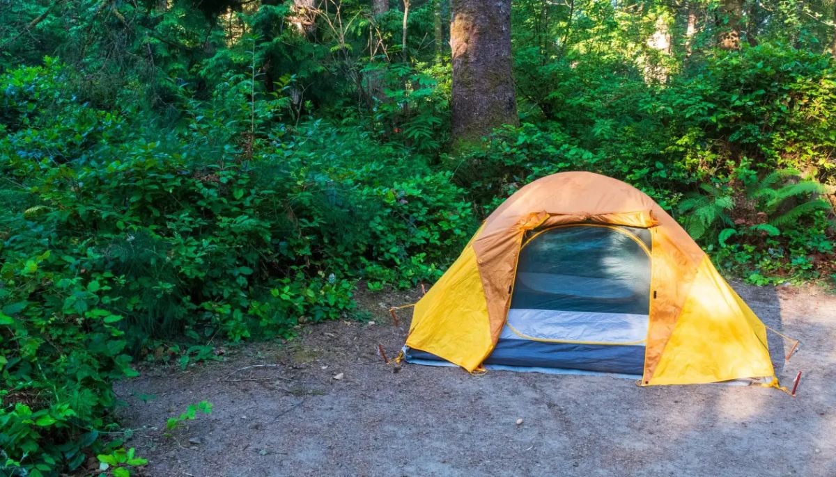 Oregon man accused of cutting into tent and kidnapping female campers on hiking trail