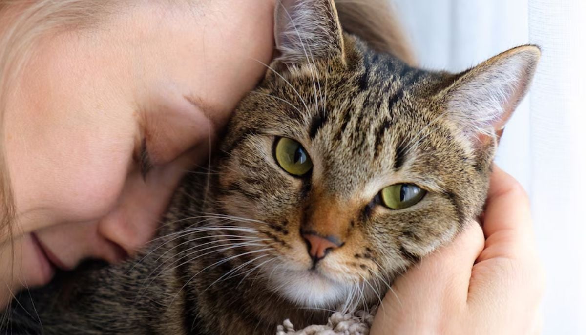 Study finds cat owners face twice the odds of schizophrenia development