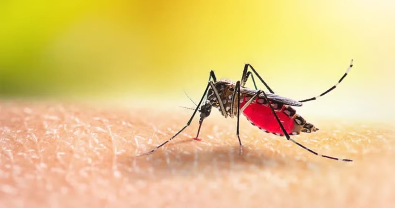5 silent warning signs dengue is turning severe