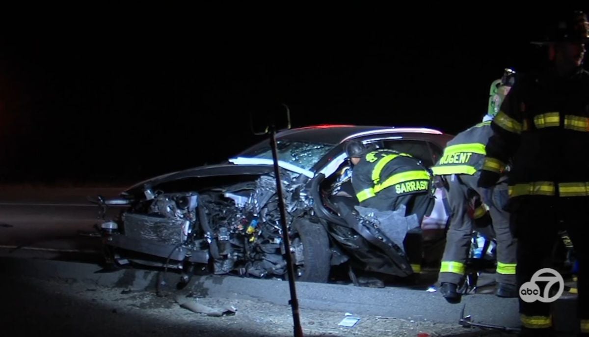 California woman dies after being struck by car while trying to save her pet