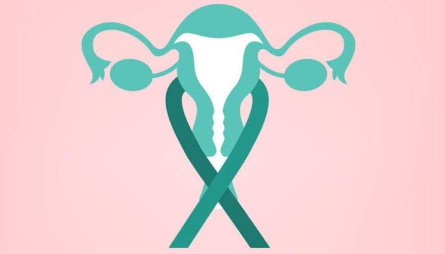 HPV vaccine linked to near-zero cervical cancer death risk in young ...