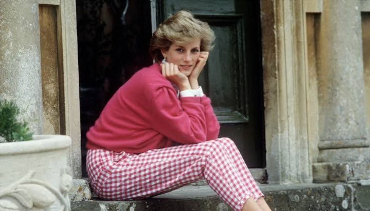 Princess Diana wanted public to understand marriage suffering
