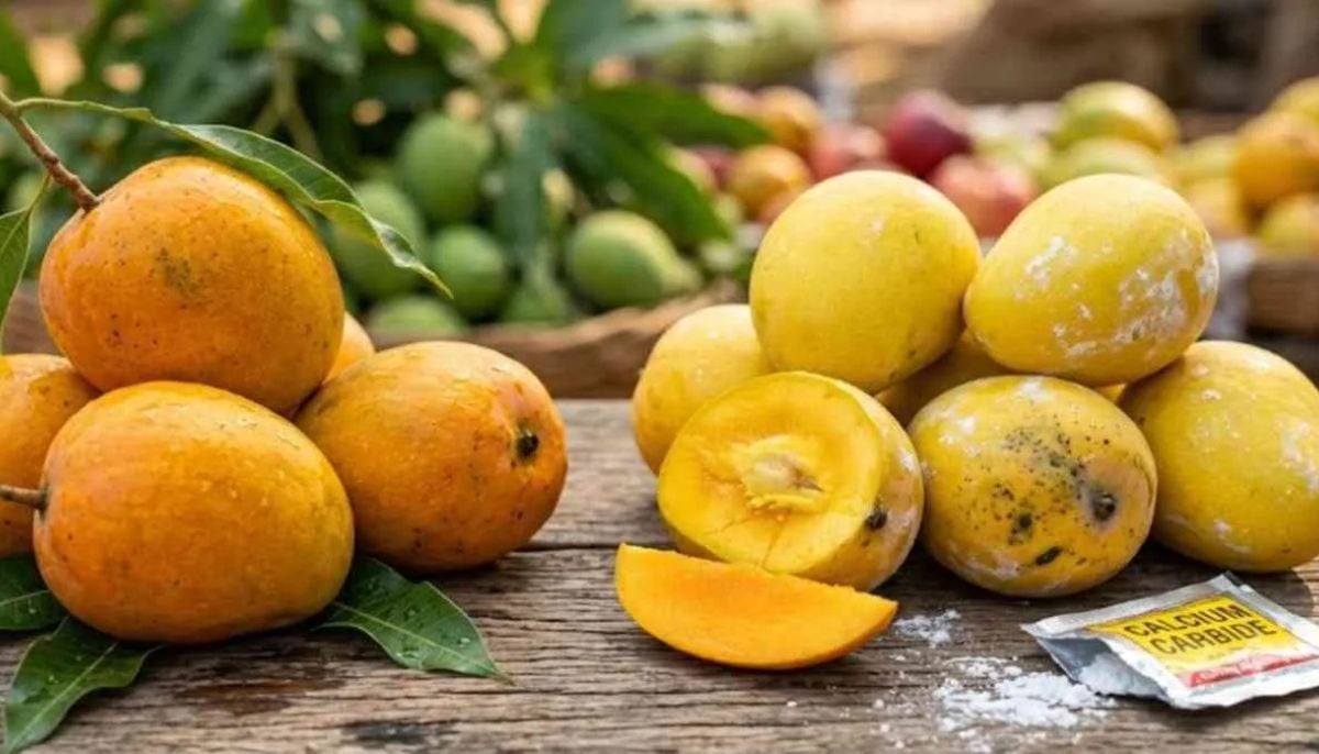 Expert outlines simple tests to spot carbide-ripened mangoes