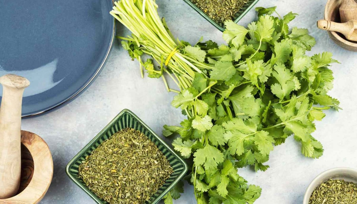 7 herbs that can help boost your magnesium intake
