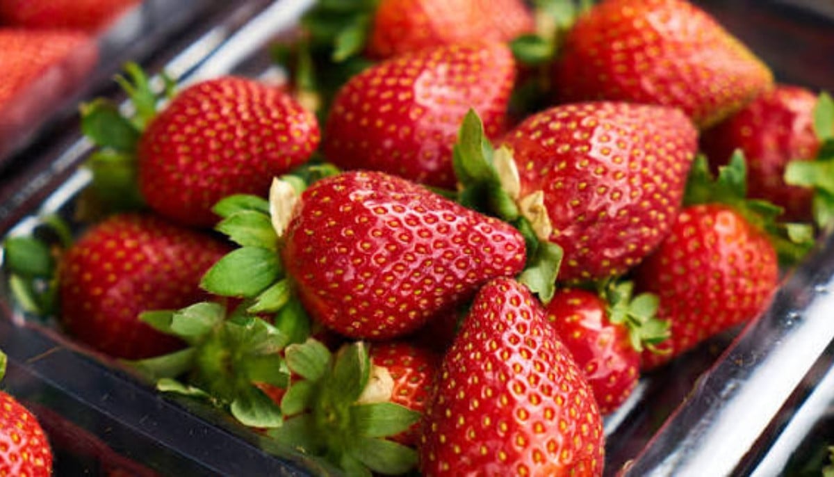 6 health benefits of eating strawberries regularly