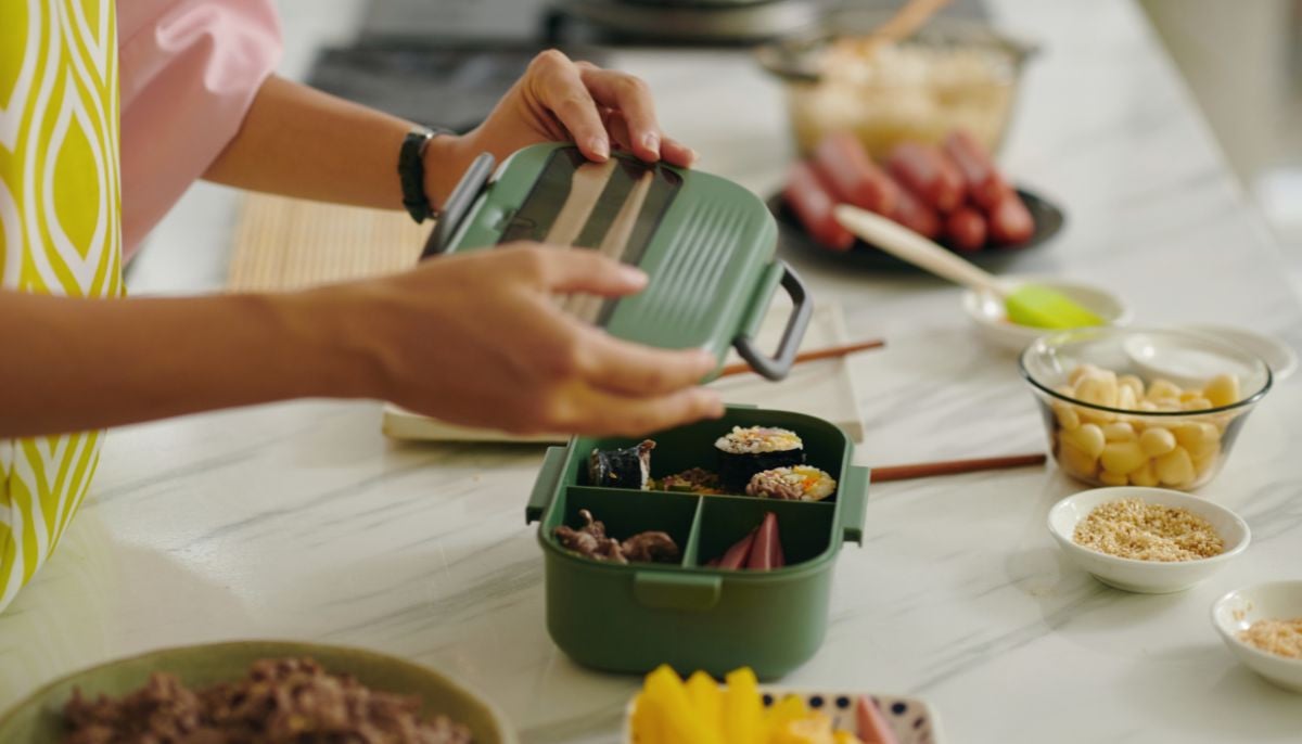 Microbiologist warns black mould in lunchbox seals poses serious health hazards