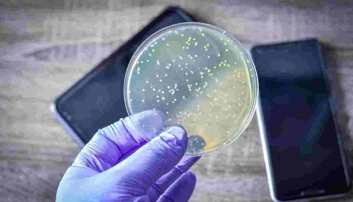 Mobile phones carry more bacteria than toilet seats, expert warns