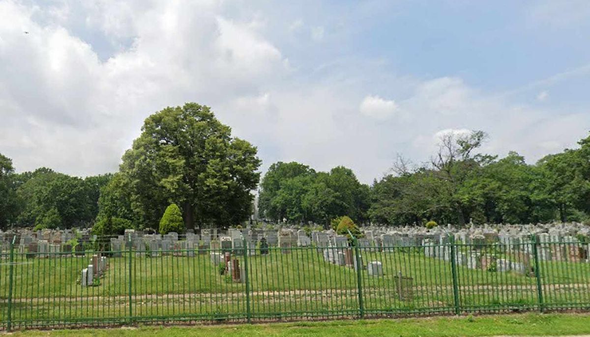 New York woman charged after injured dog abandoned at cemetery